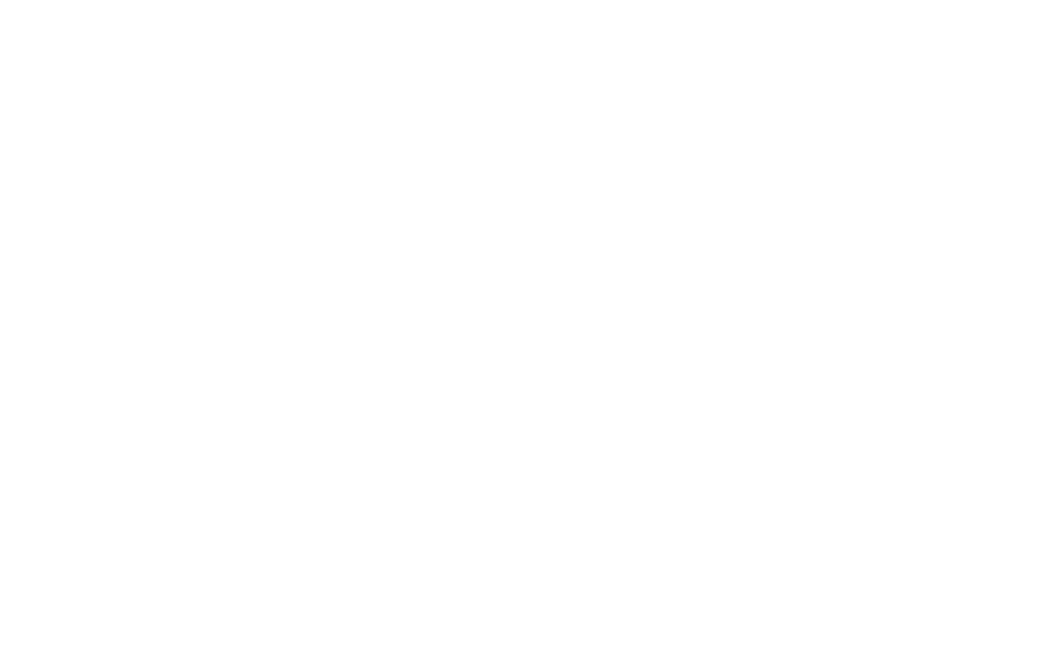 Fleurs de Touraine, Alice Tessier designer floral et horticultrice à Saint-Genouph(37)